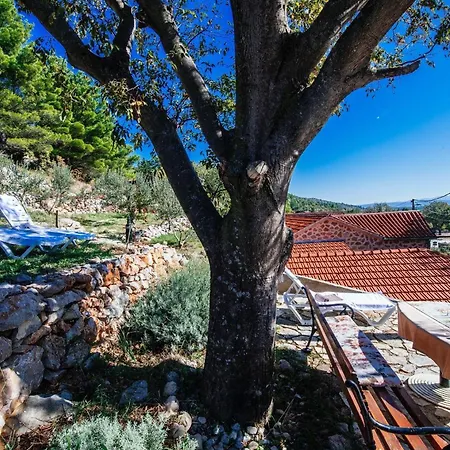 My Dalmatia - Jucinovi Dvori With Private Pool And Sauna Starigrad-Paklenica